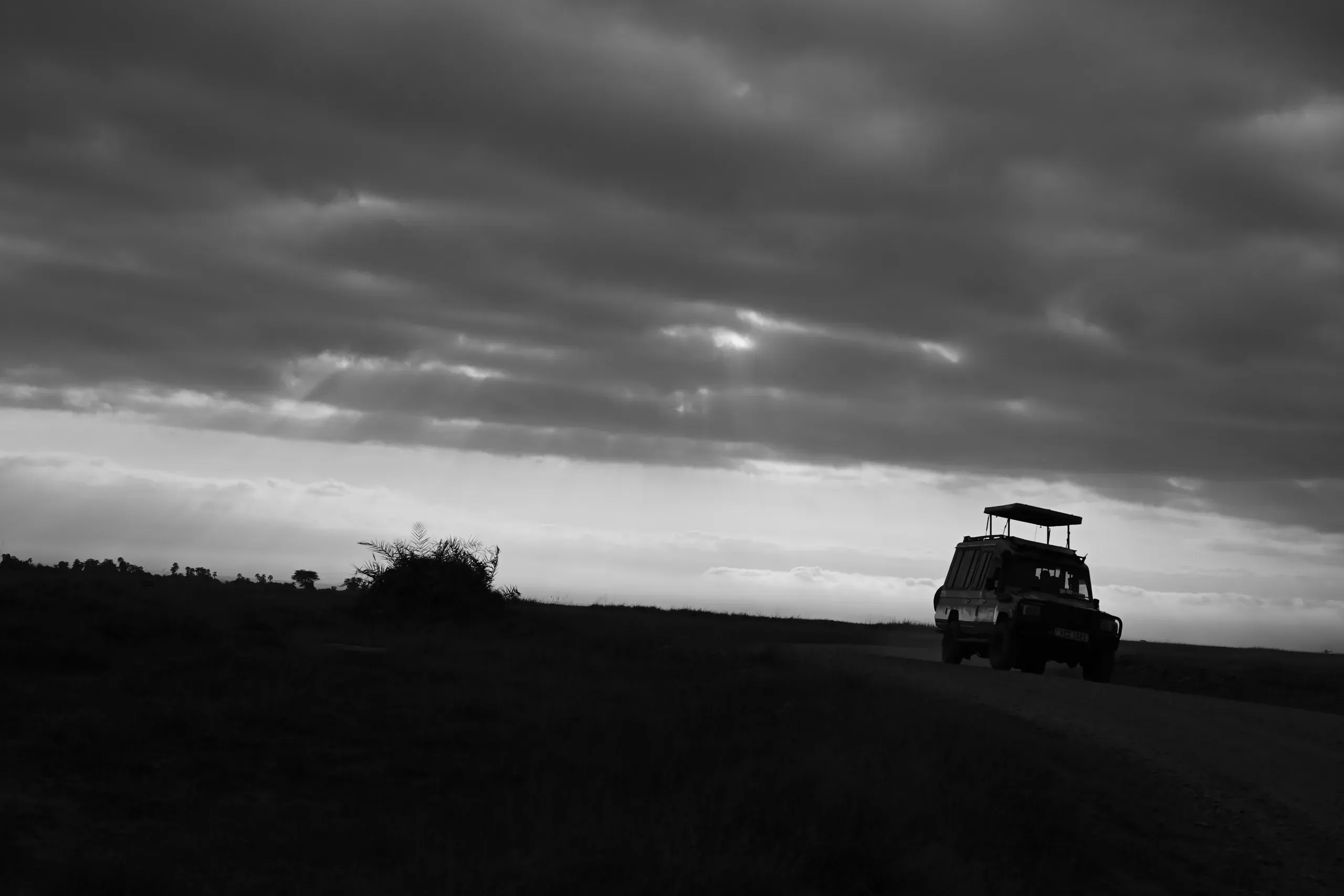 Landscape, 2 of 8