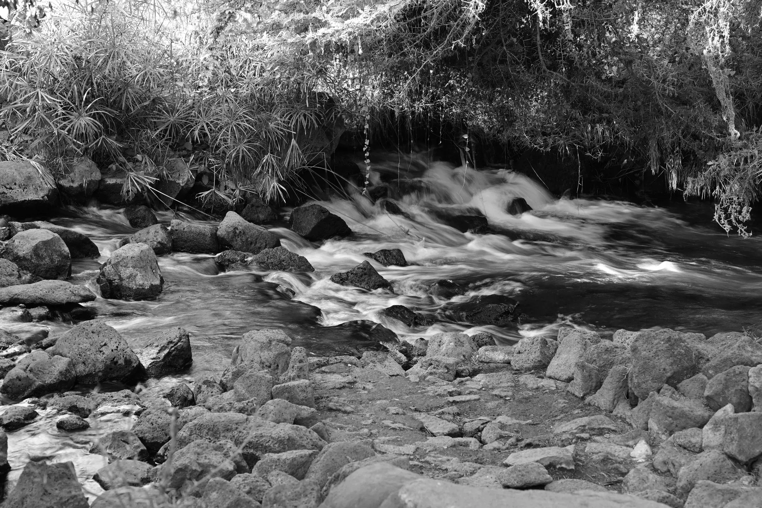 Landscape, 1 of 8