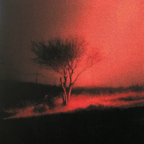 Piss In The Wind by Joji