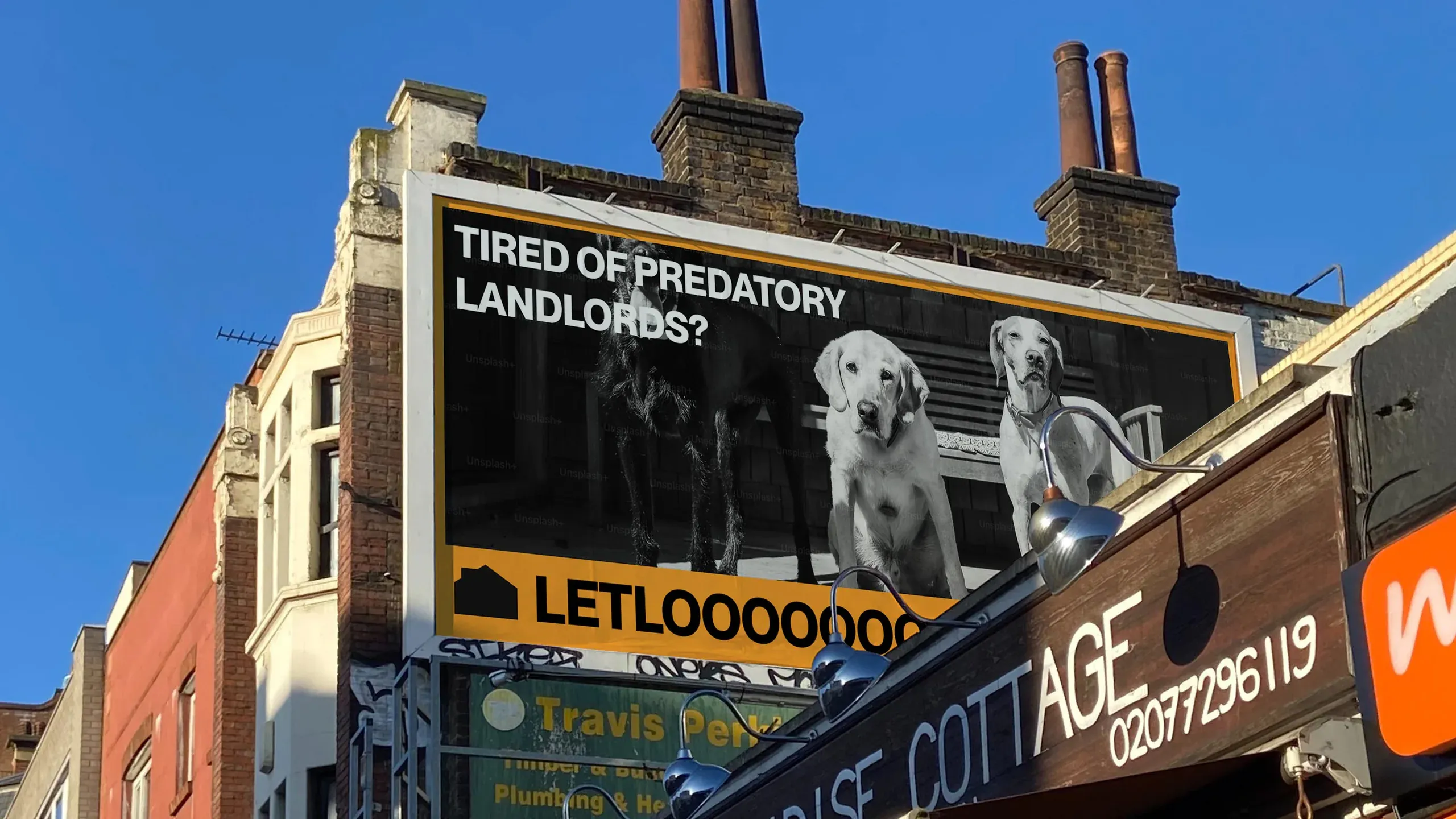 LETLOOSE, 1 of 7